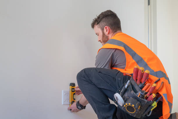 Best Electric Panel Repair  in Tazewell, TN